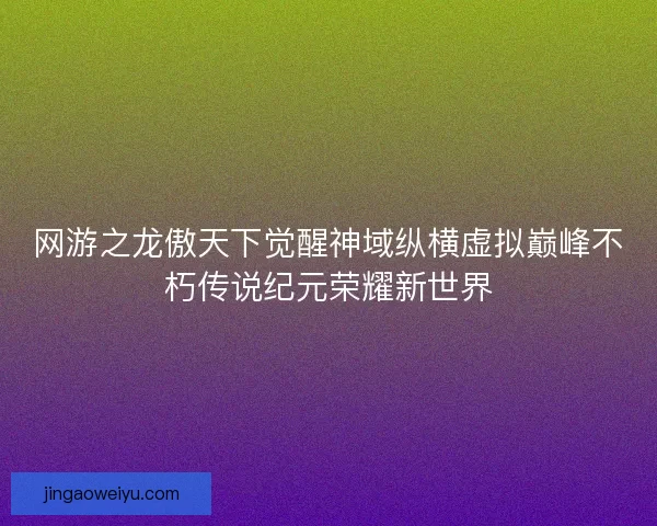 网游之龙傲天下觉醒神域纵横虚拟巅峰不朽传说纪元荣耀新世界